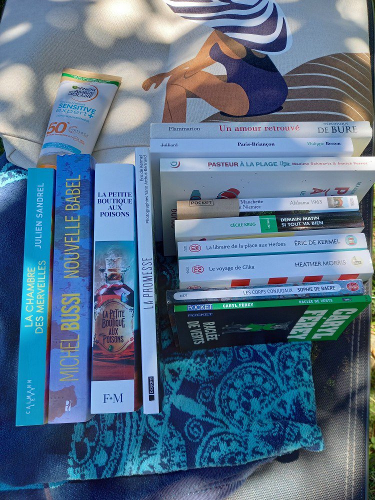 pal de l ete3348687226911578485.