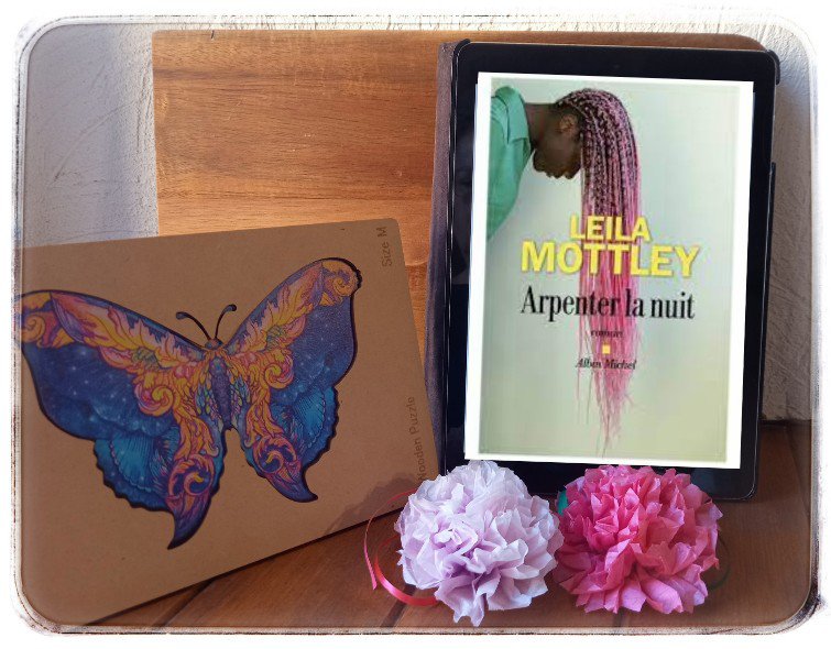 arpenter la nuit 14599597809887387755.