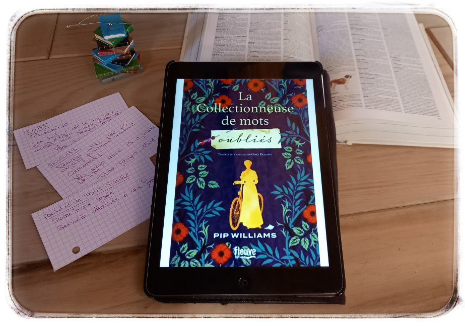 la collectionneuse de mots oubliés2335796568528389283.