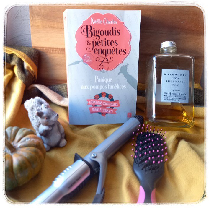 bigoudis et oetites enquetes7231930601099809866.