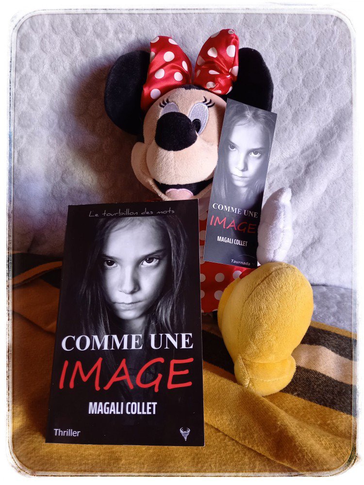 comme une image6690860417600914715.