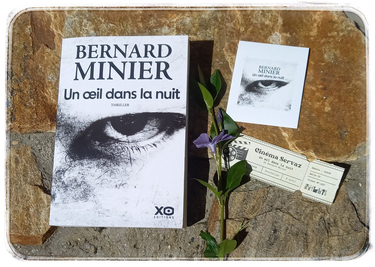 Un oeil dans la nuit