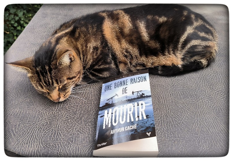 Une bonne raison de mourir