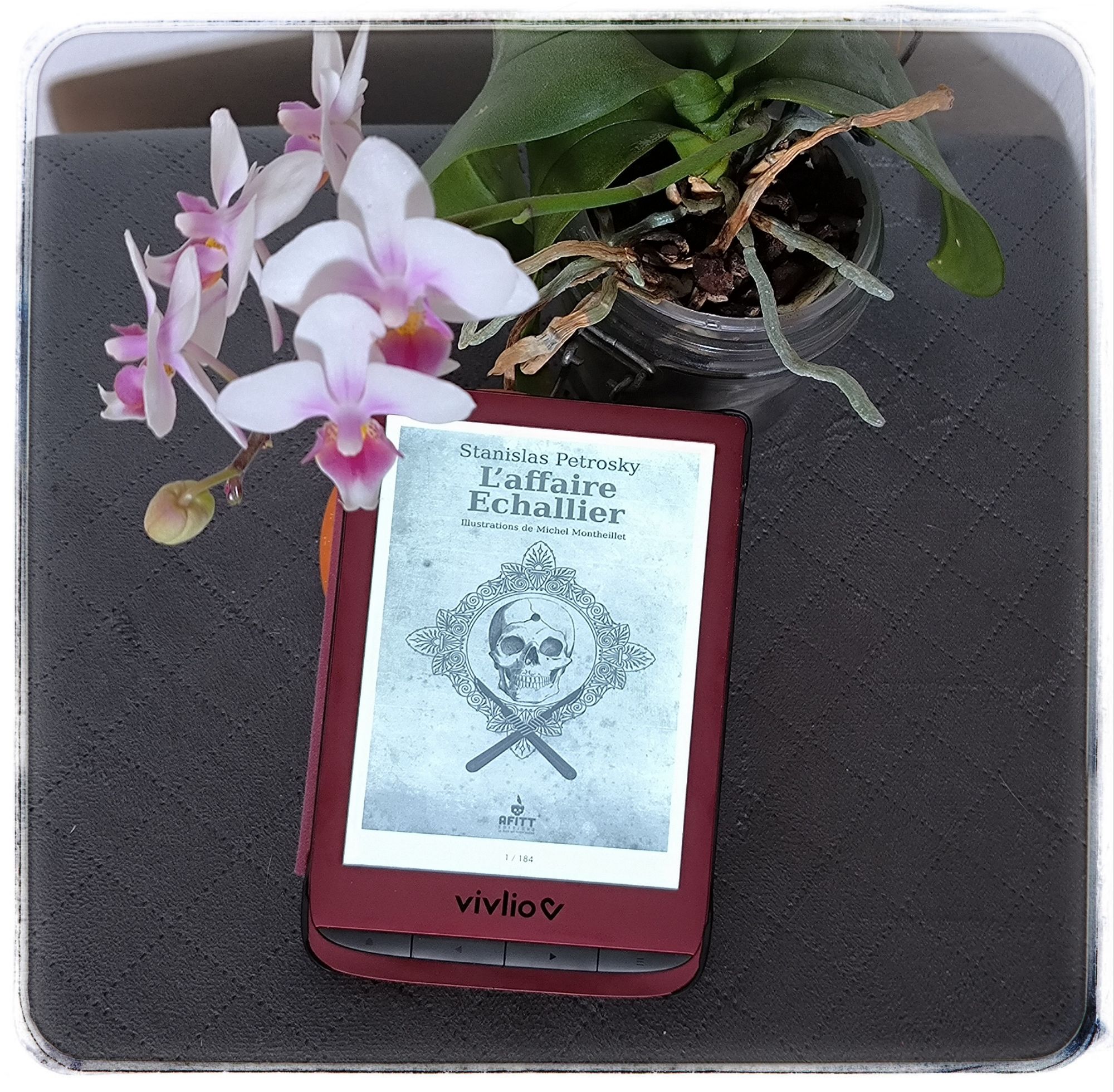 l affaire echallier9032140177398021127.