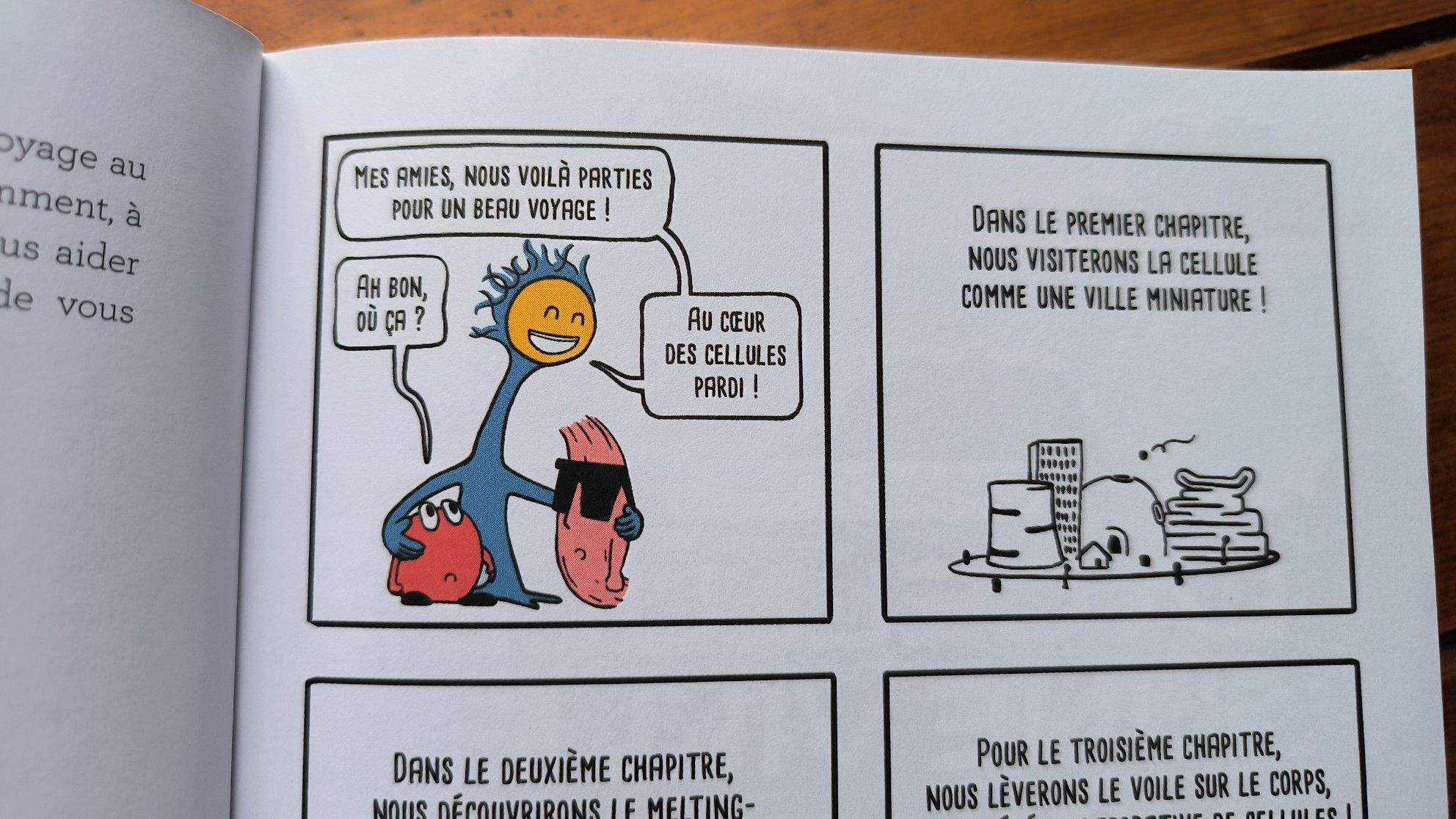 tor8504554226372667744