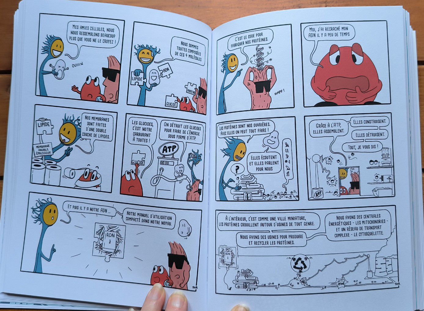 victor pied4093004305344485722.