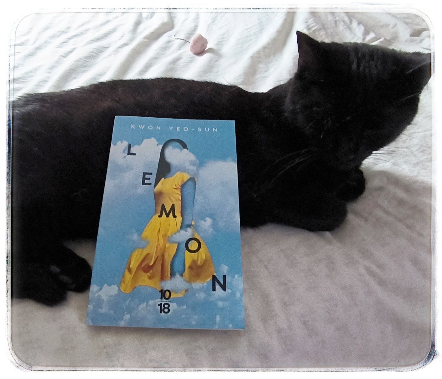 1000020090-024451453622099124626