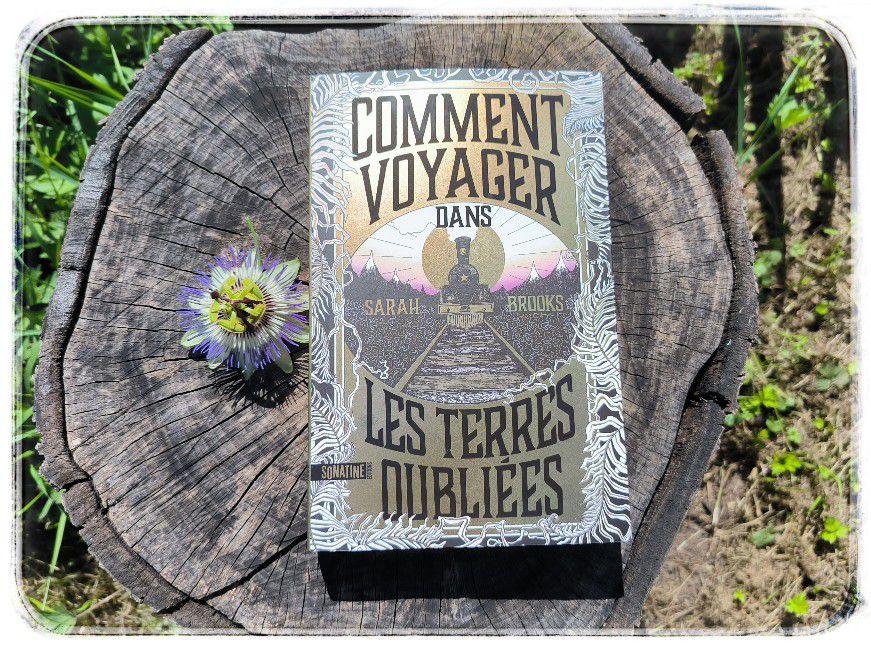 10000232003120252921781007960