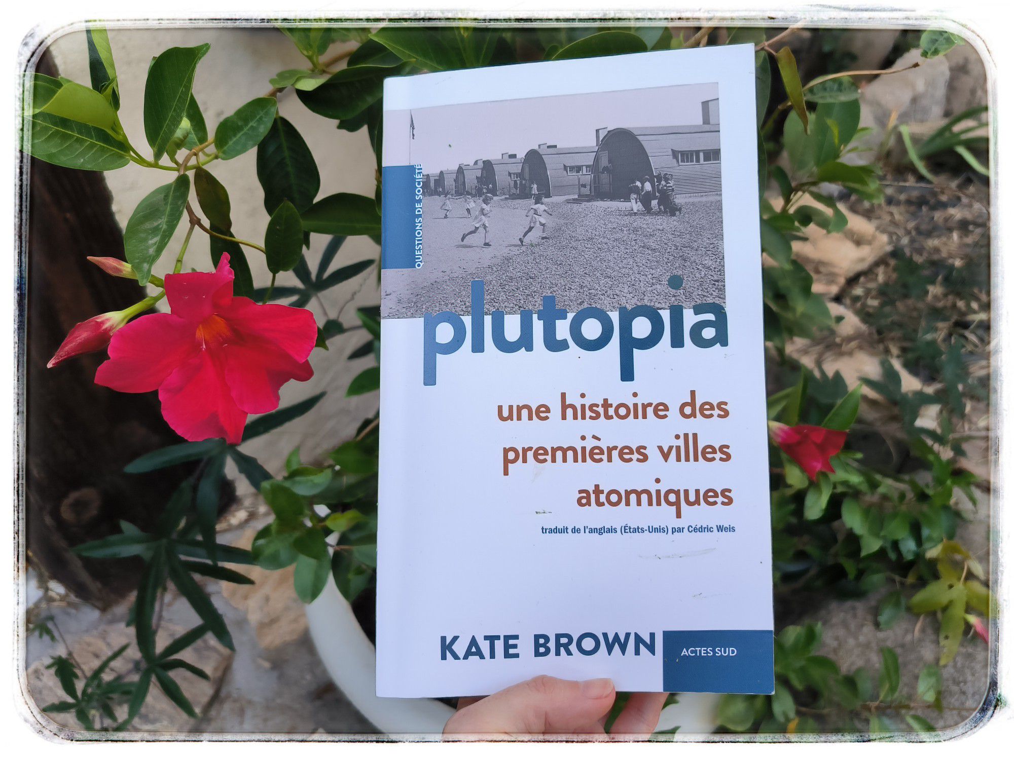 1000024390 (1)2721479234267053545.