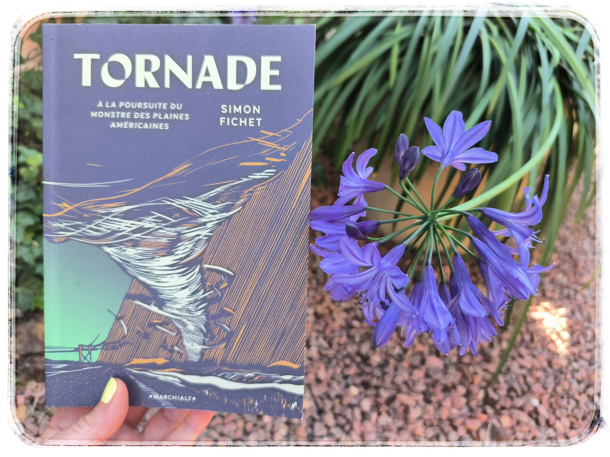 10000245197161549782714312807