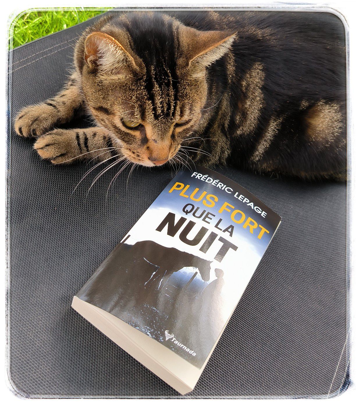 10000279323987675792268193327