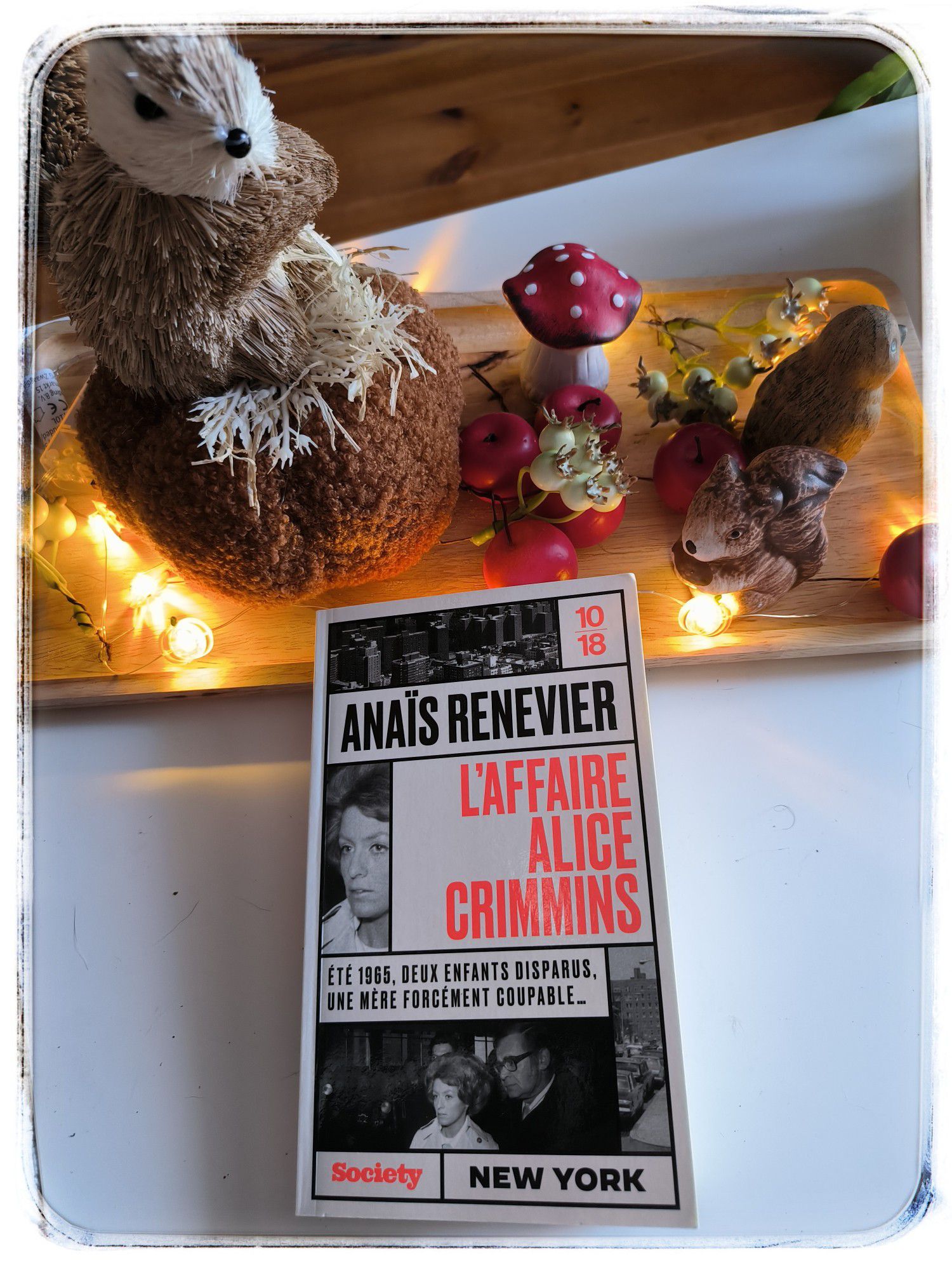 L'affaire alice crimmins