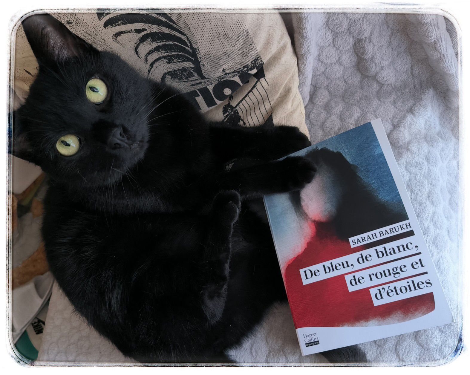 De bleu de blanc de rouge et d étoiles