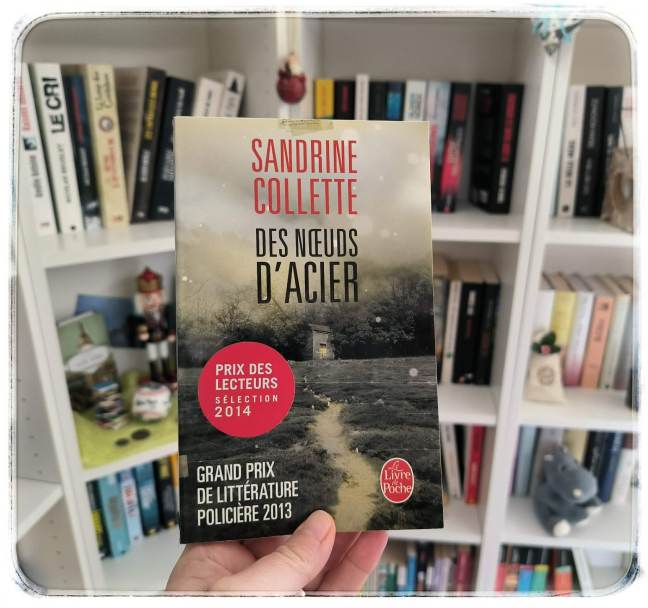 Chronique du roman des nœuds d'acier de Sandrine Collette