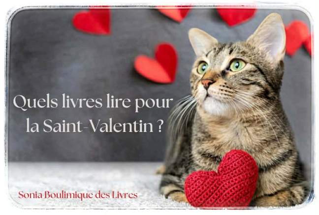 Sélection de romans d’amour à lire pour la Saint-Valentin